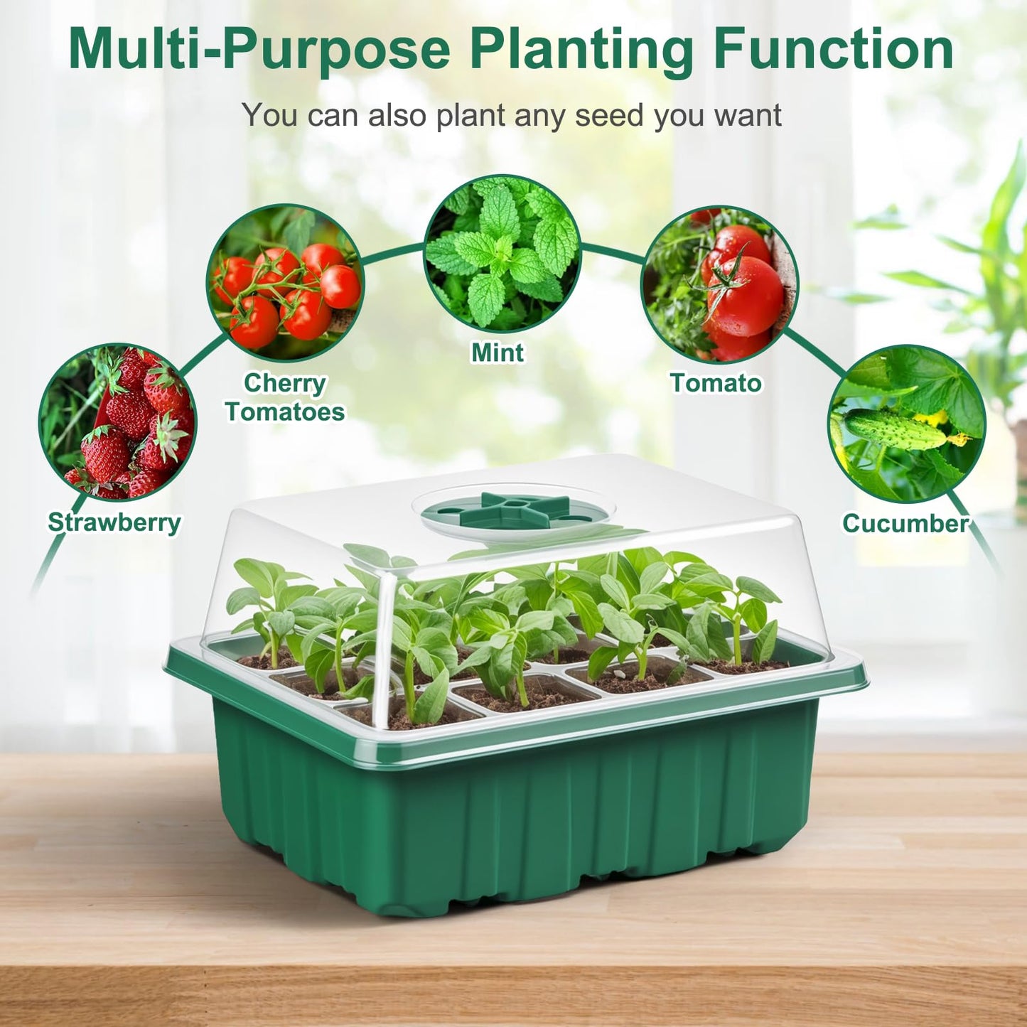 10 Pack Seed Starter Tray Seed Starter Kit (120 Cells Total Tray) with Adjustable Humidity Dome, Plant Germination Trays, Seed Starting Trays Mini Greenhouse Germination Kit for Seeds Growing Starting